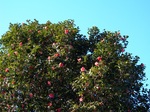DSCN5160.jpg